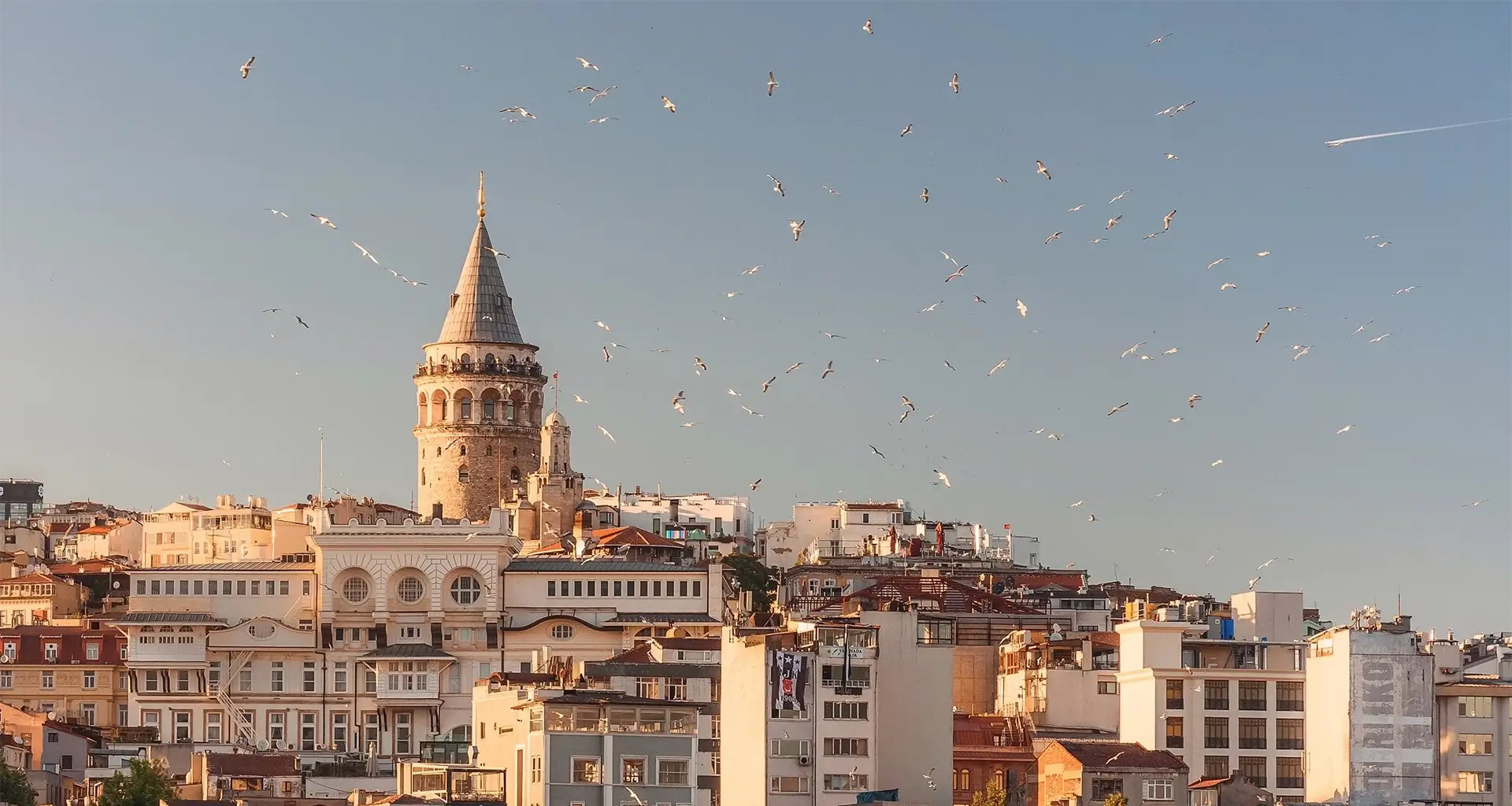 Tura Turizm | Services