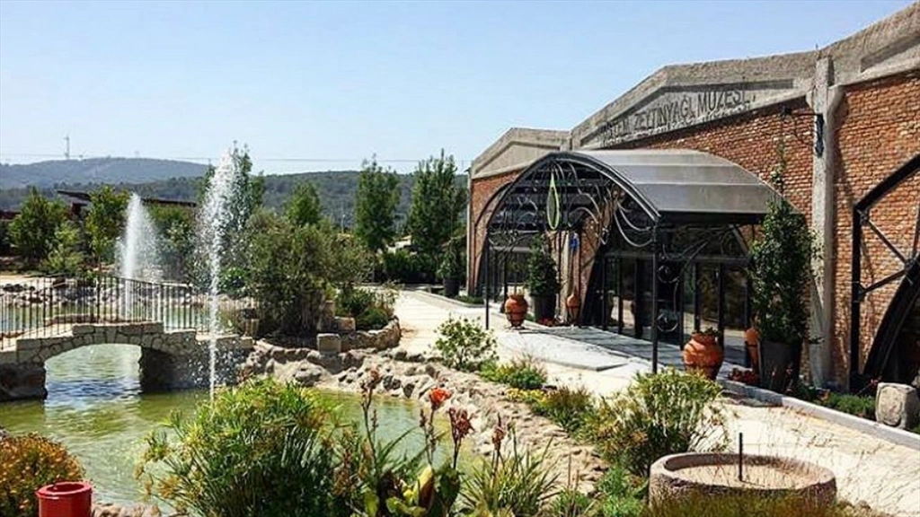 Tura Turizm | Olive Museum