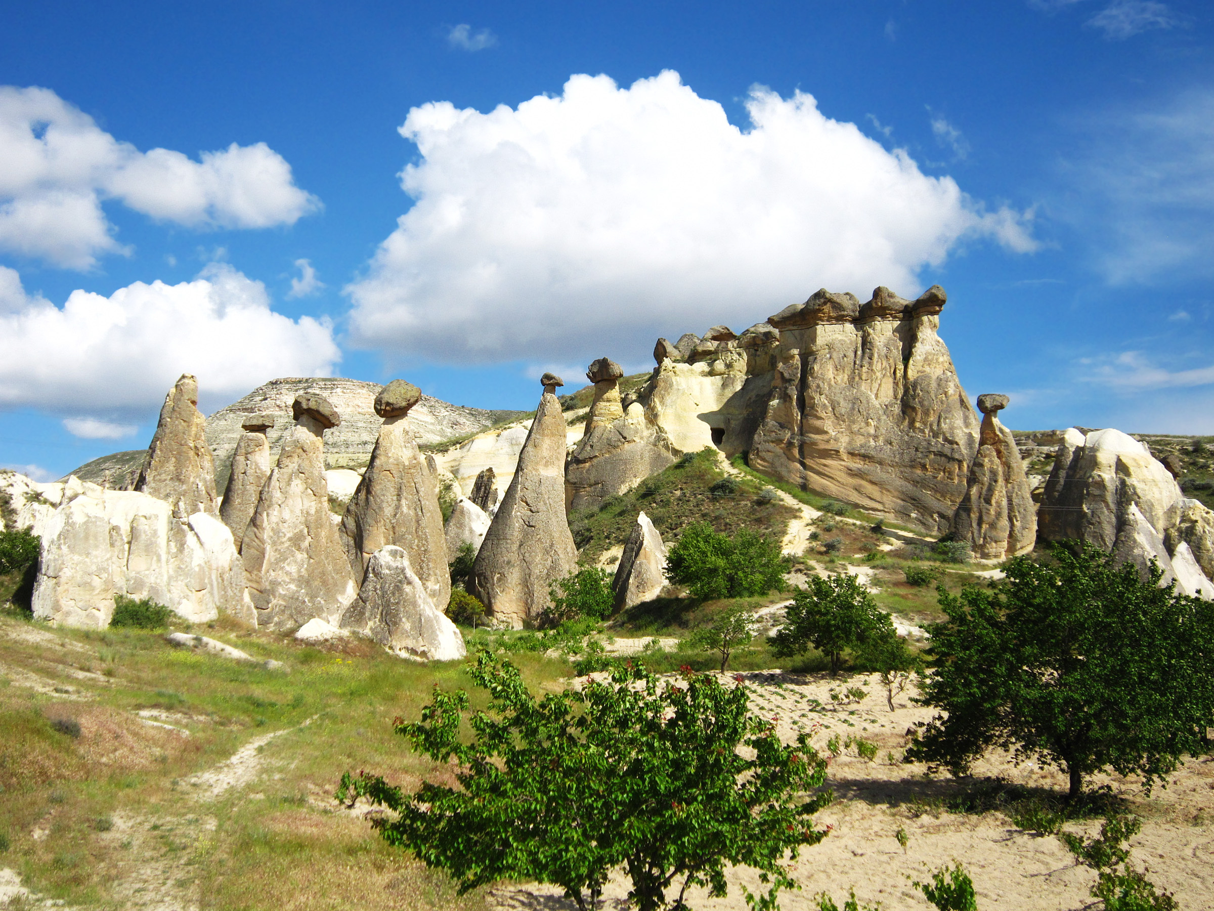 Tura Turizm | 