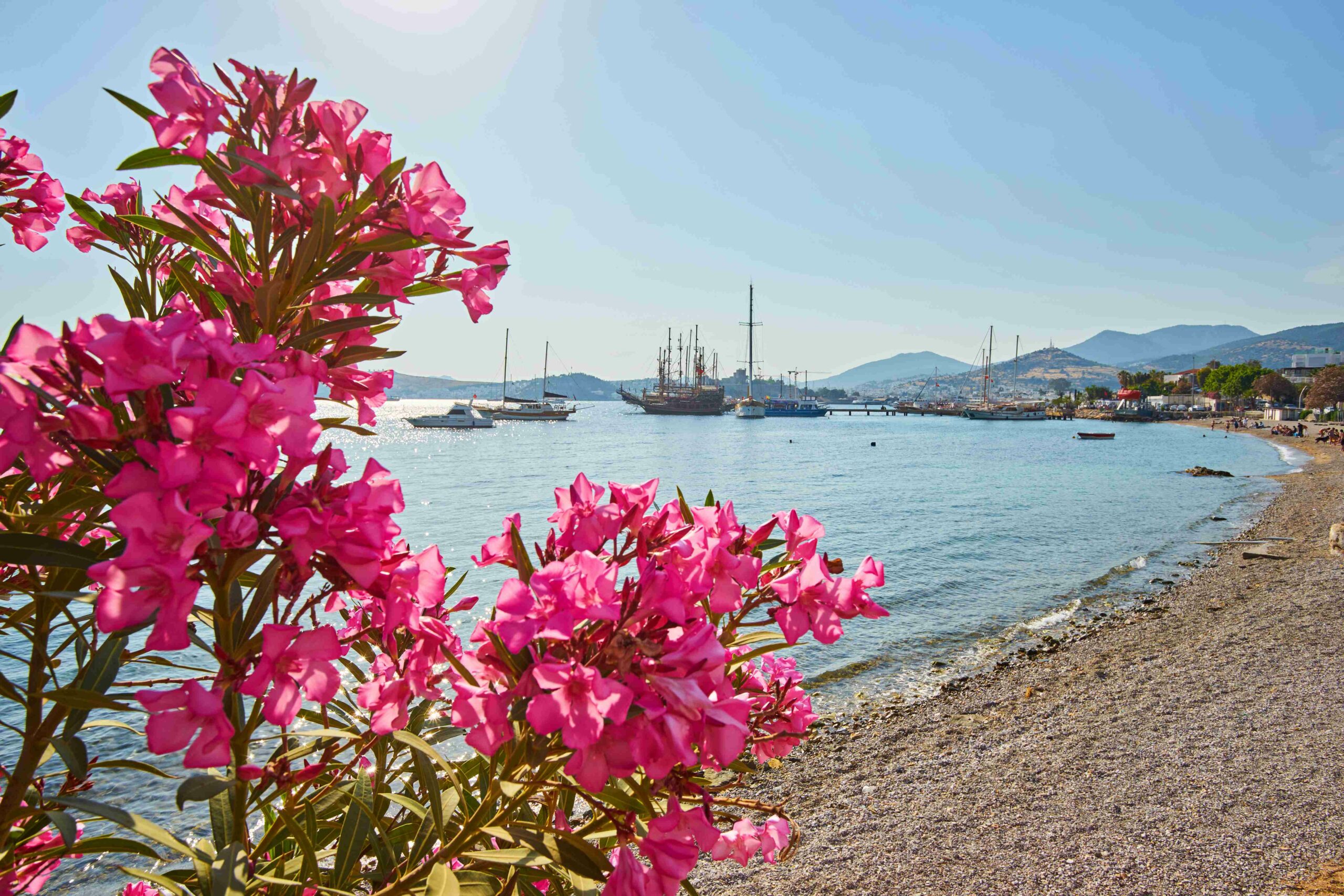 Tura Turizm | Bodrum Cruise Port